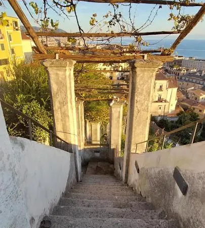 Luxury Vittoria